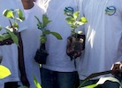 22 octobre: plantation d'arbres au Togo en mémoire de Dr Wangari Maathai 